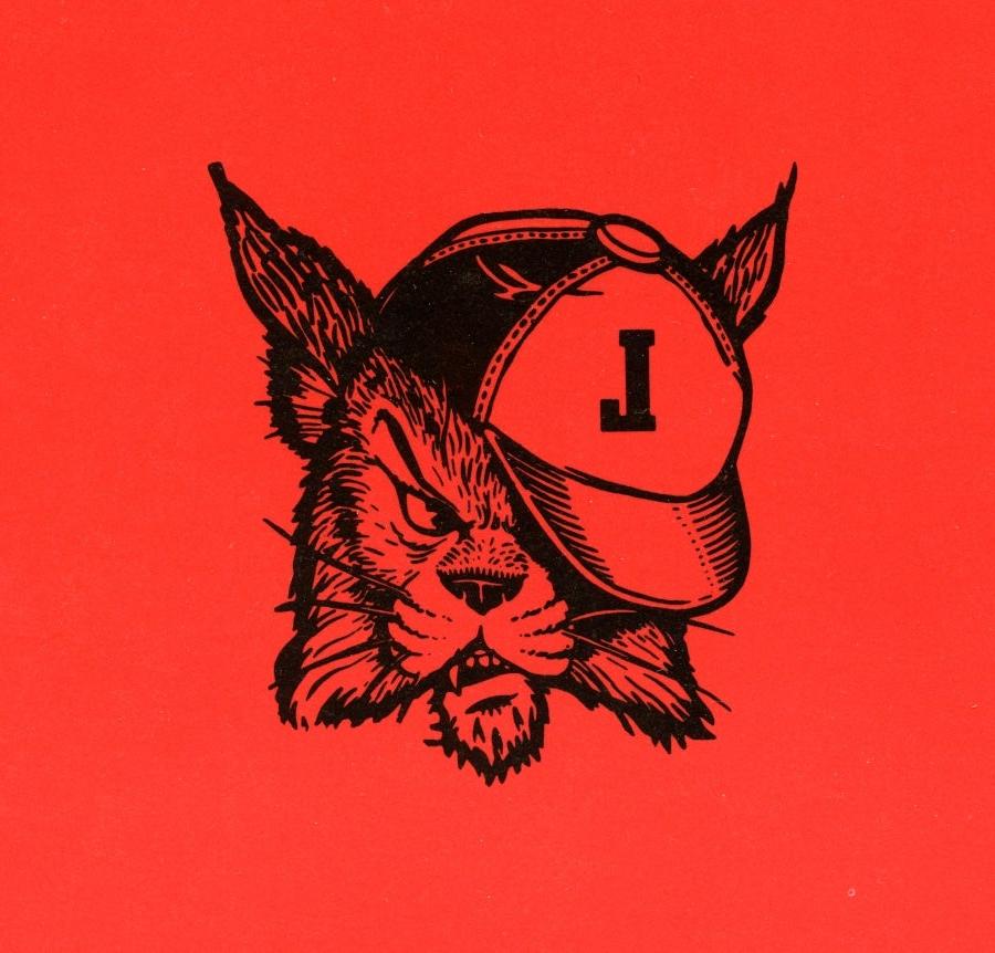 林肯 Lynx Logo